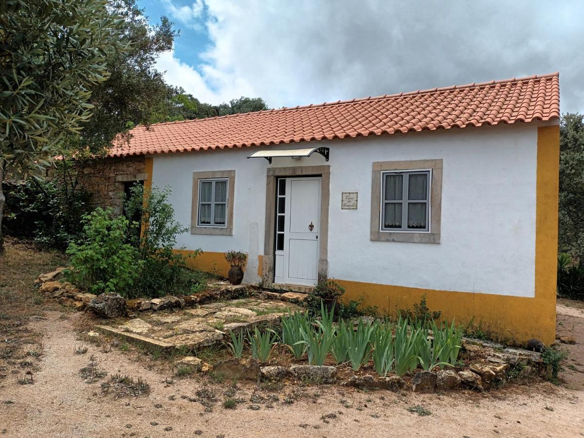 Vila Casa Dos Terranhos Tomar Exteriér fotografie