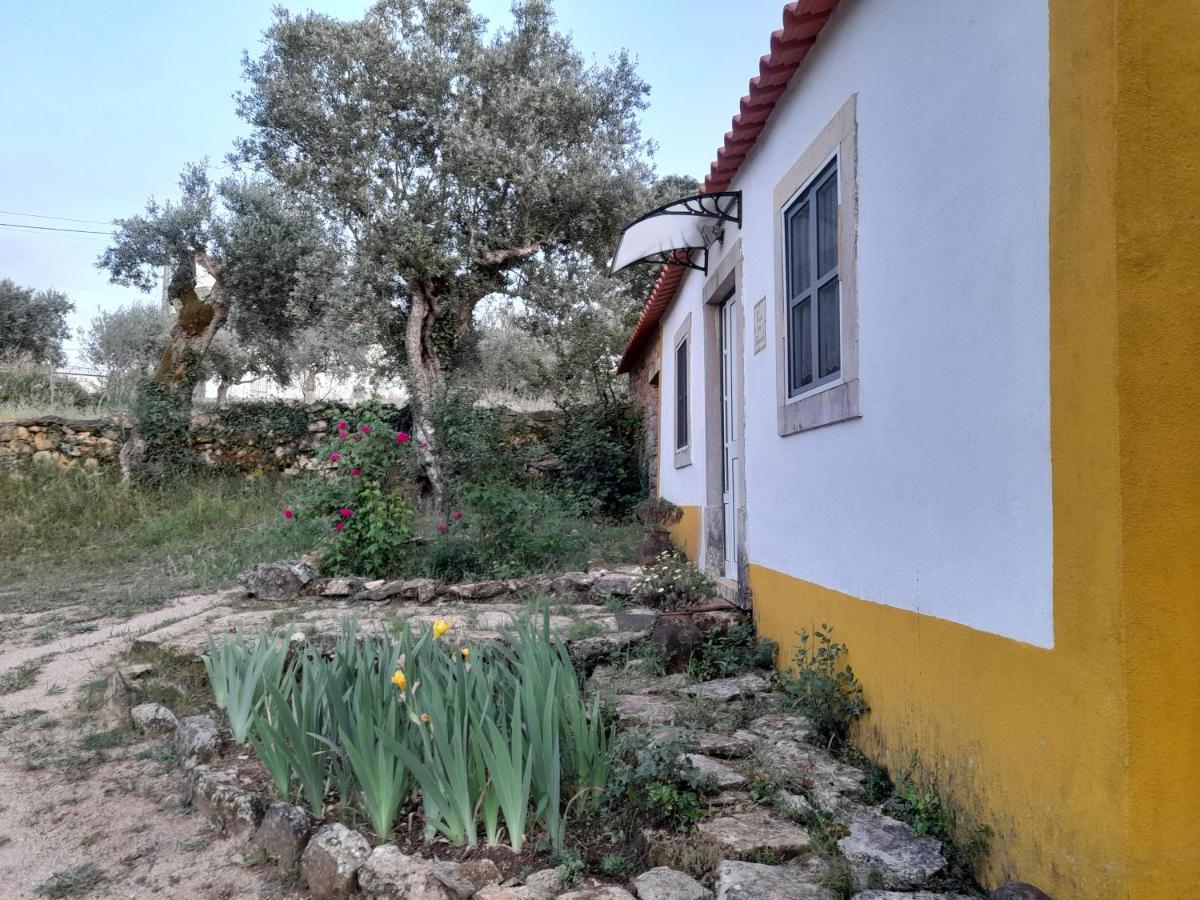 Vila Casa Dos Terranhos Tomar Exteriér fotografie